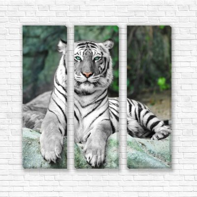 модульные картины Белый тигр