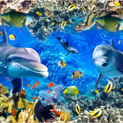 фотообои Панорамный аквариум