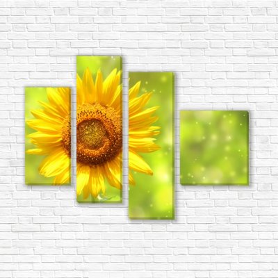 модульные картины Солнечный цветок