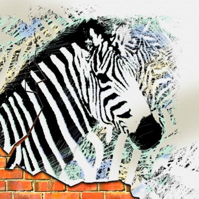фотообои Граффити зебры