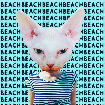 постеры Пляжная кошка