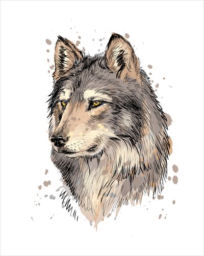 постеры Портрет волка