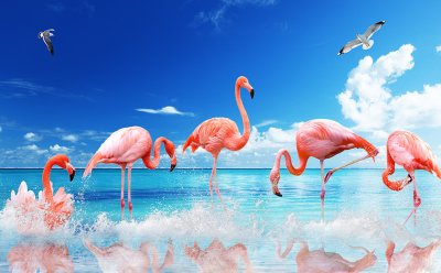фотообои Фламинго и голубое море