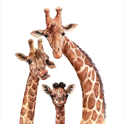постеры Семья жирафов