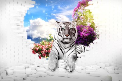 фотообои Тигр и белая стена