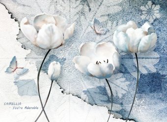 фотообои Объемные белые тюльпаны