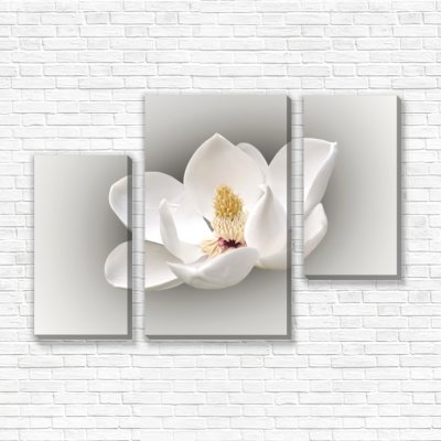 модульные картины Цветок белой магнолии