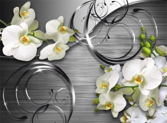 фотообои Стерео орхидеи