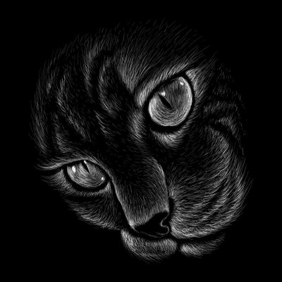 постеры Ночная кошка